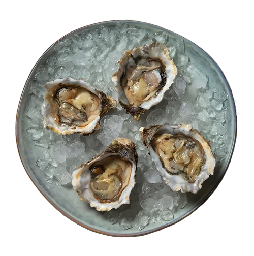 Plato de ostras en hielo